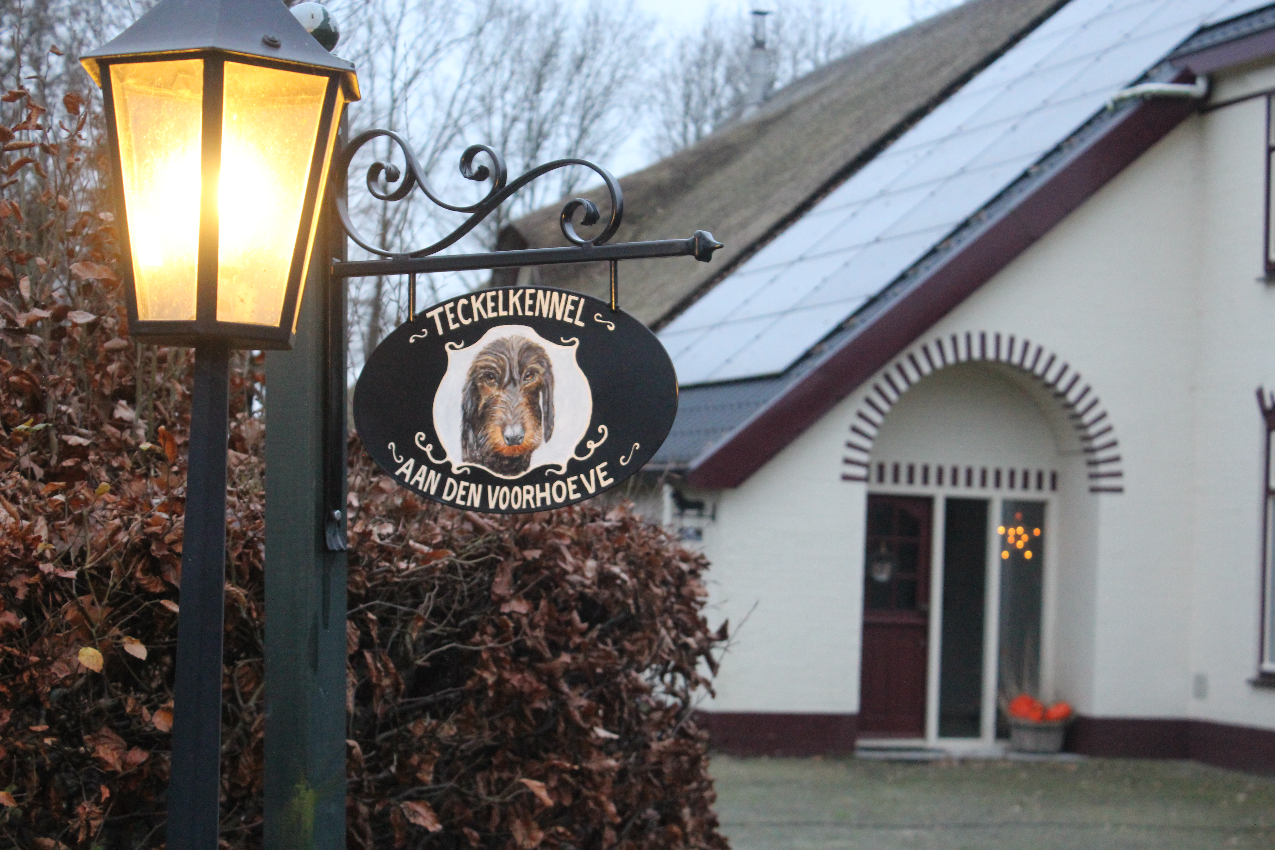 Kennelbord van Teckelkennel Aan Den Voorhoeve, NTC erkende fokker van kortharige dwerg teckels in Slagharen